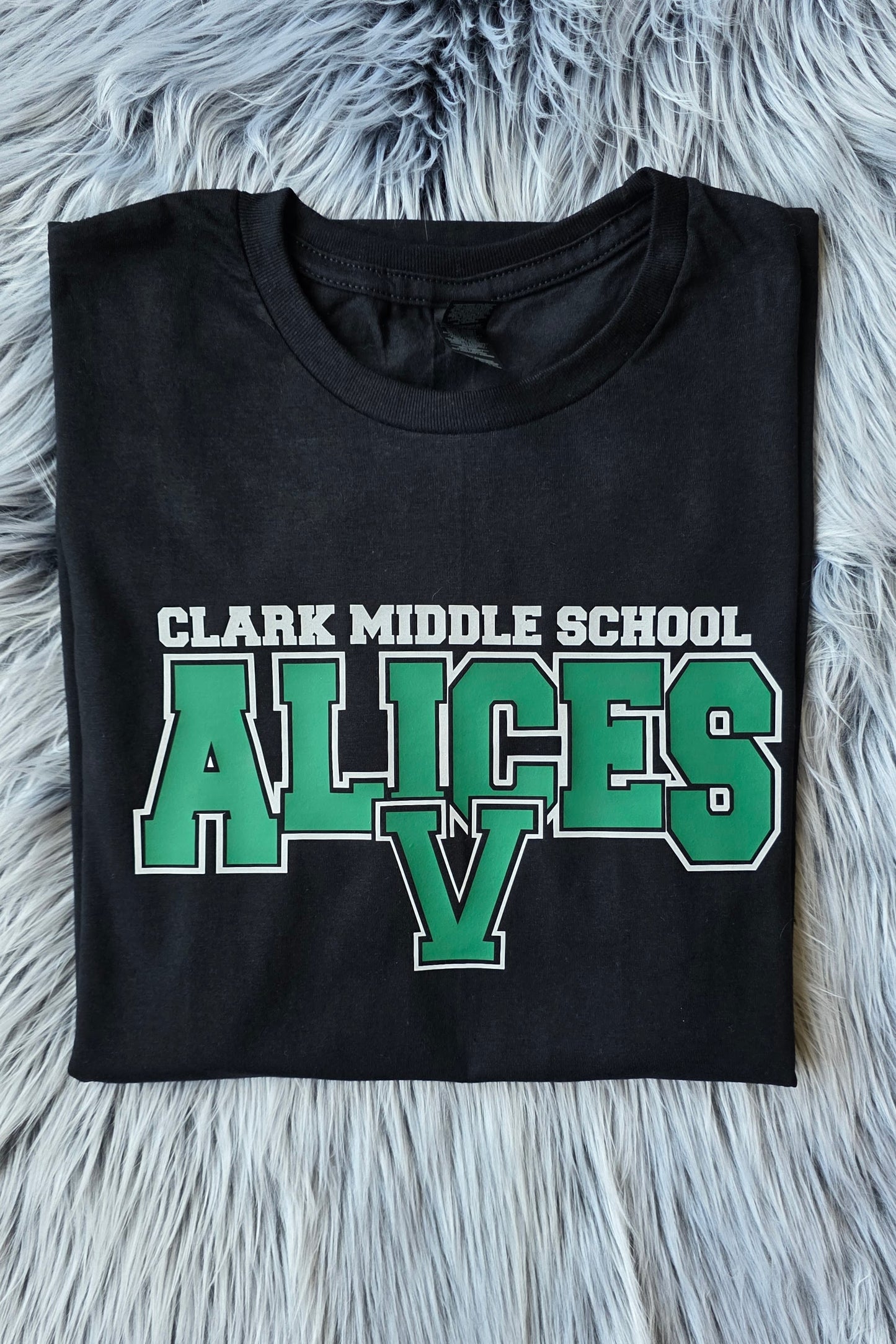 Vincennes Lincoln Alices Clark