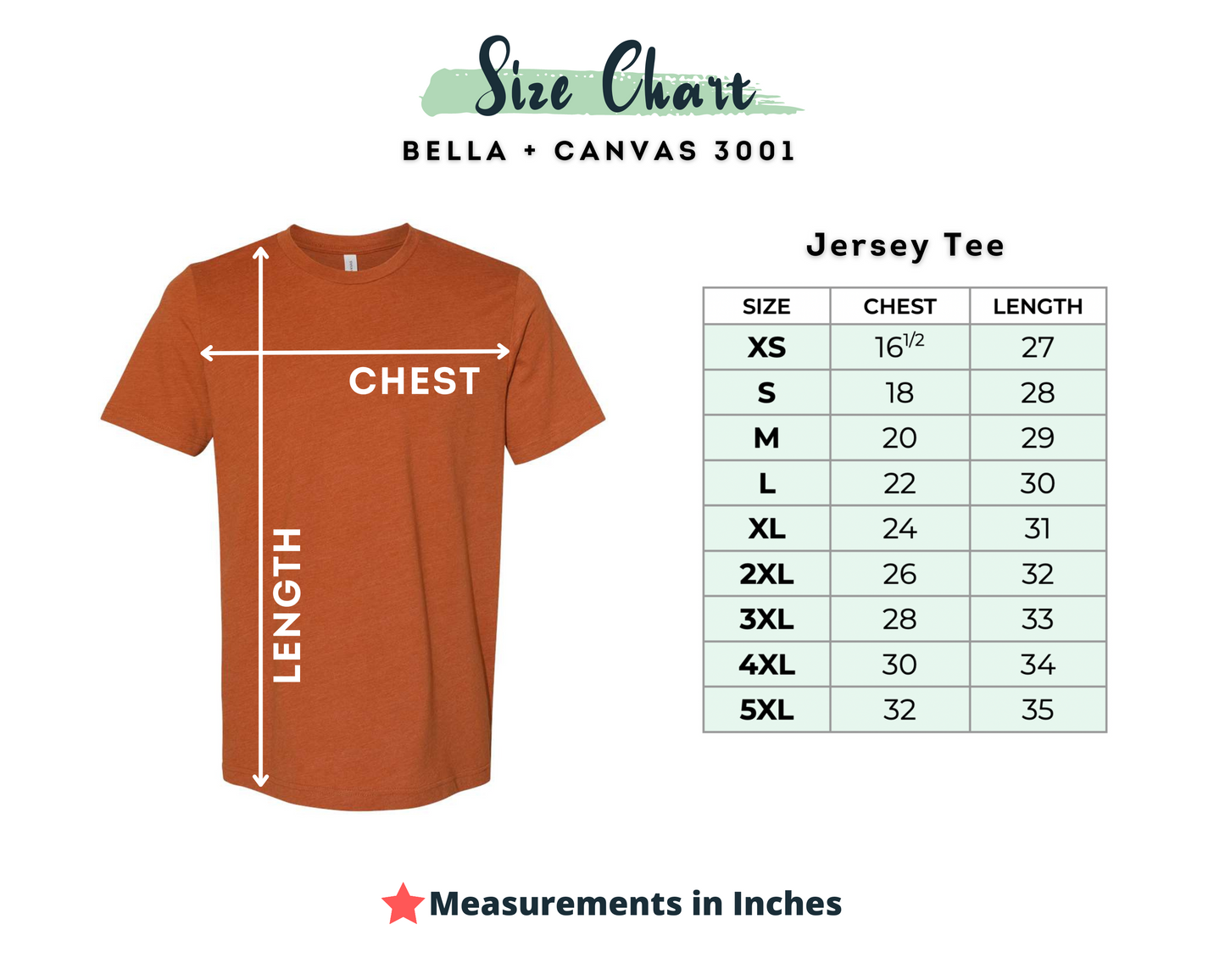 Blank Bella Canvas 3001CVC T-Shirt RTS